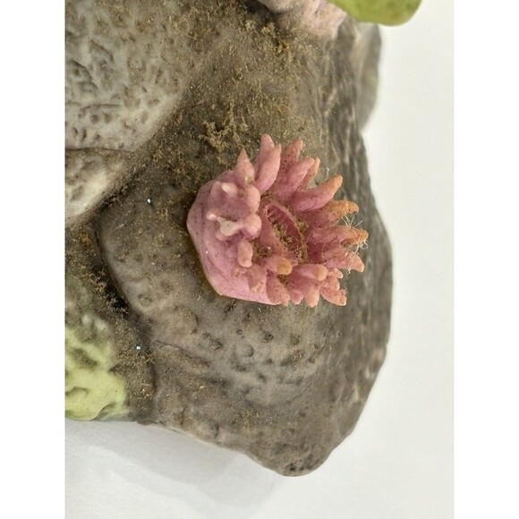 Vintage 1994 Wonders of the Green Sea Turtle Studio Design Porcelain Figurine - Picture 11 of 12